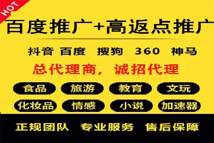 百度广告推广在电商行业的实战案例